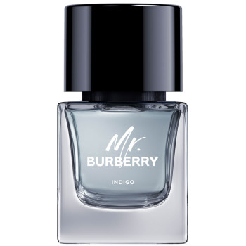 Burberry mr burberry indigo edt top