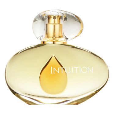Estee lauder outlet intuition