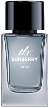 Burberry hot sale indigo 100ml