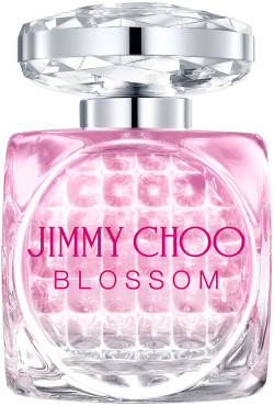 40ml jimmy choo store blossom
