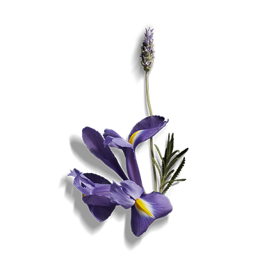 Lavendel en iris